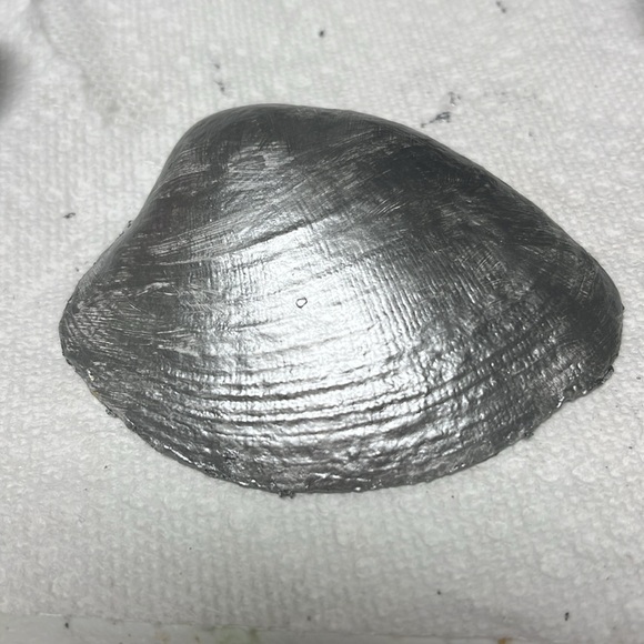 Hand Crafted Floral Silver and Cream Shell Trinket Dish - Picture 2 of 9